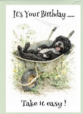 Tibetan terrier dog - terrier, birthday