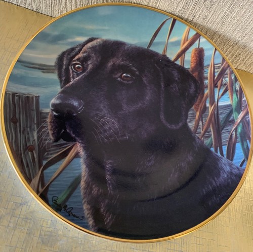 Black labrador plate - mans, best