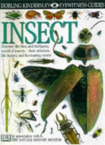 Insect by - (eyewitness,