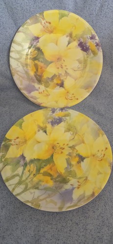 Melamine tomark picnic - melamine,