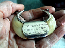 RARE ANTIQUE INDIAN TIGRESS C