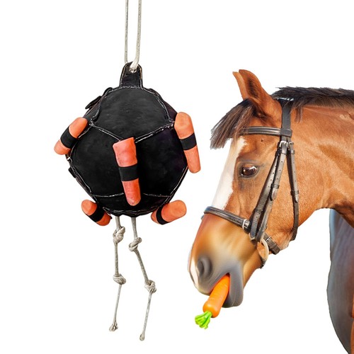 Horse treat ball - ball, carrot