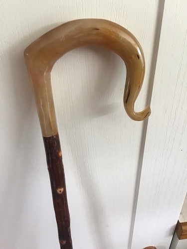 Welsh ram horn - horn, hazel