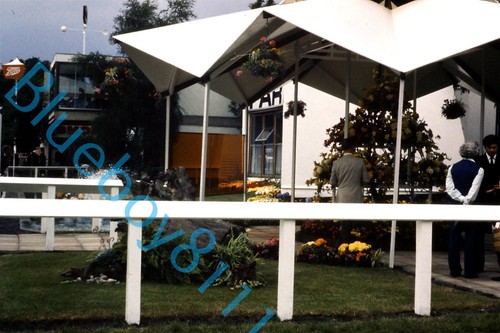 Floral flower display tent - tent, at