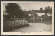 Dallas nr Elgin Moray - Wool