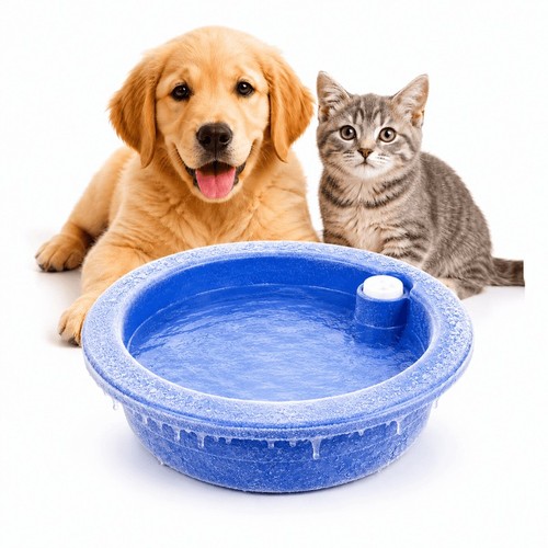 Dog cat cooling - cat, bowl