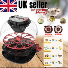 12 Eggs Incubator Automatic