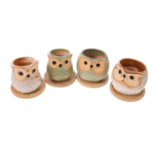 Sets owl pots - owl, plants
