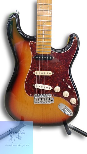 Navigator stratocaster type - stratocaster,