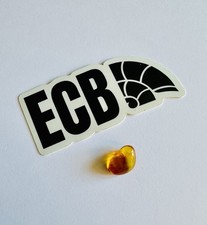 Baltic Amber with 3 Mosquito Inclusions 100% Real, No Fakes. UK Seller 🇬🇧