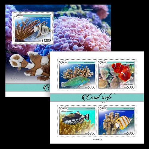 Coral reefs and - coral, fishes