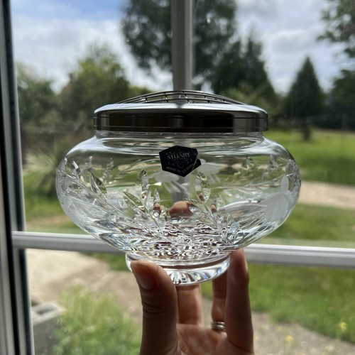 Stuart crystal cascade rose - stuart,