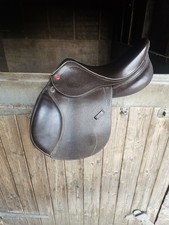 John Whitaker 15.5" Rio Pony