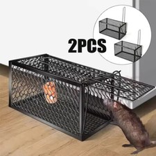 Rat trap mouse - rat, catcher