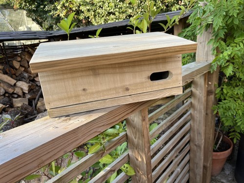 Swift swallow nesting boxes - swift,