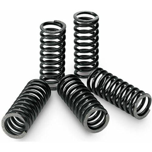 Clutch spring kit - spring,