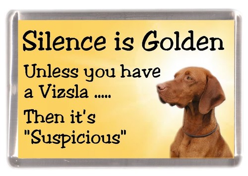 Hungarian vizsla dog - vizsla, fridge