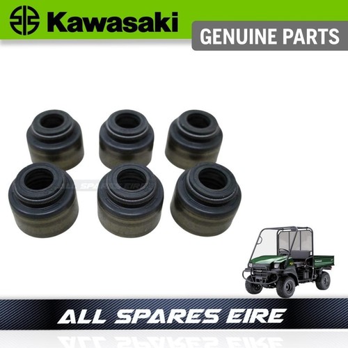 New 2000 2013 - genuine, kawasaki