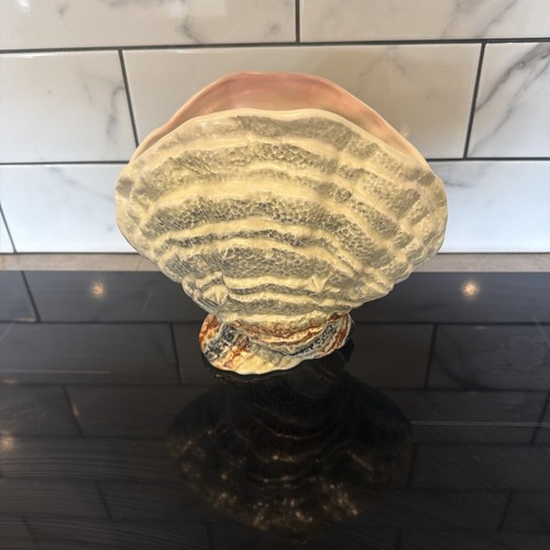 Vintage sylvac shell - vase, art