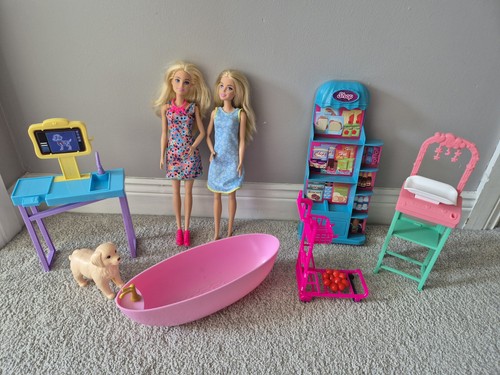 Barbies and accessories bundle - barbies,