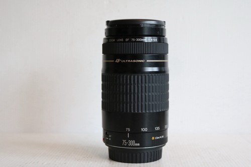 Canon eos 300mm 4 5 - ef, 75-300mm