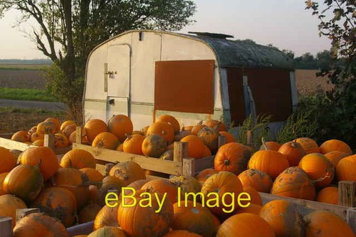 Photo 6x4 pumpkin - photo,