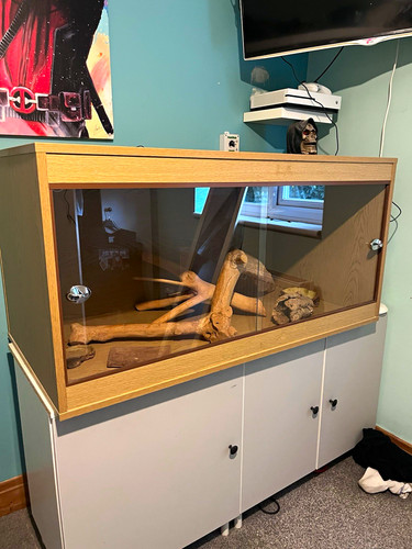 Wooden glass front vivarium - glass-front,