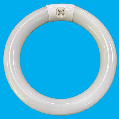 22w g10q pin t9 - 1x, round