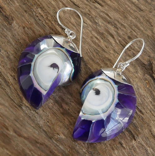 Purple nautilus shell - shell, earrings