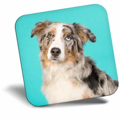 Awesome fridge magnet - fridge,