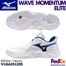 Mizuno Volleyball Shoes WAVE