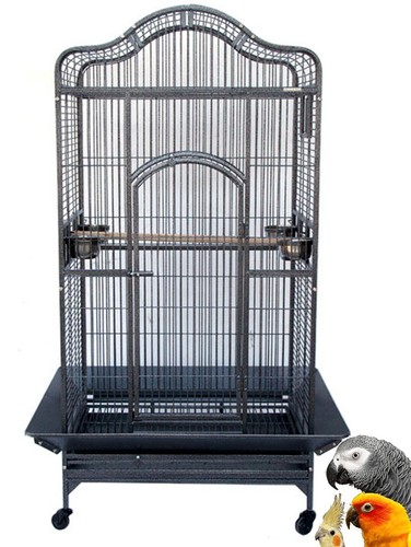 Large open dome play - x-large,