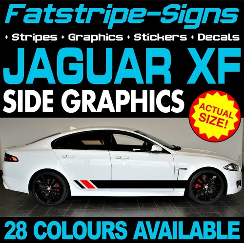 Fit jaguar graphics - fit,