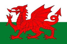 New Wales Welsh Flag 100%