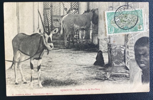 1910 djibuti french somali - djibuti,