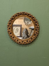 Vintage Gold Ornate Wall Mirror Round Circle Frame Wood & Plaster Rococo 