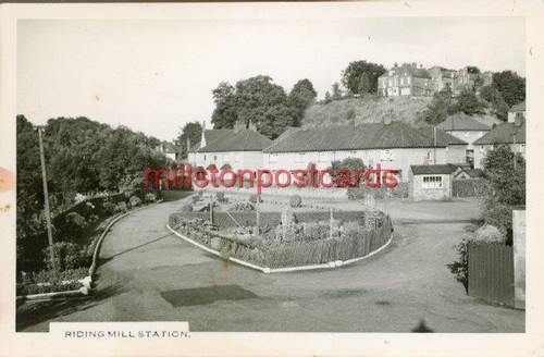 Real photo postcard - photo, riding
