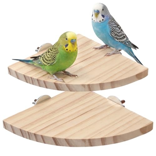 Pack bird platform - pack, wood