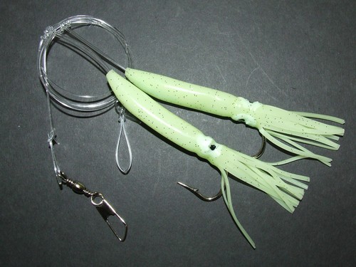 Big lumo squid - squid, 2