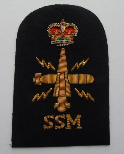 Royal navy petty - royal, officer