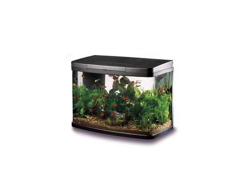 Glass fish tank aquarium - glass,