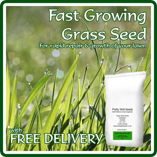 Fast growing lawn grass seed - fast,