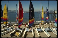 082022 Hobie Catamarans Aquatic Park A4 Photo Print