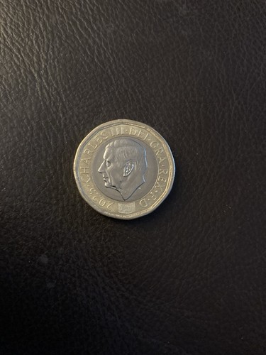 King charles bees 2025 one - king, £1