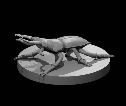 Giant stag beetle for - giant, d&d