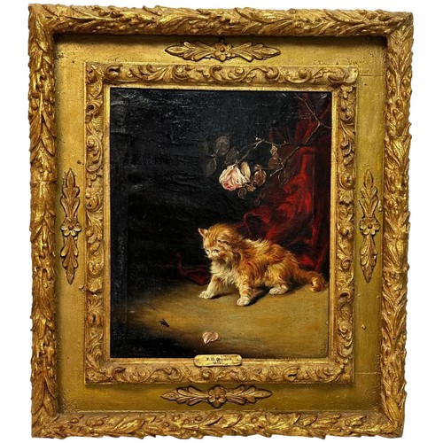 Oil painting kitten - kitten, patience
