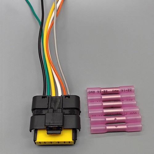Rear tail light - rear, harness