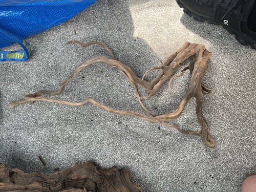 Natural brown driftwood root - driftwood,