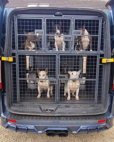 Custom dog cages crates - dog, /