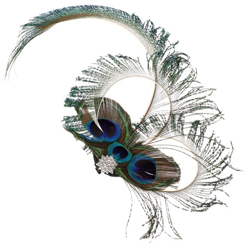 Peacock fascinator vintage - peacock,